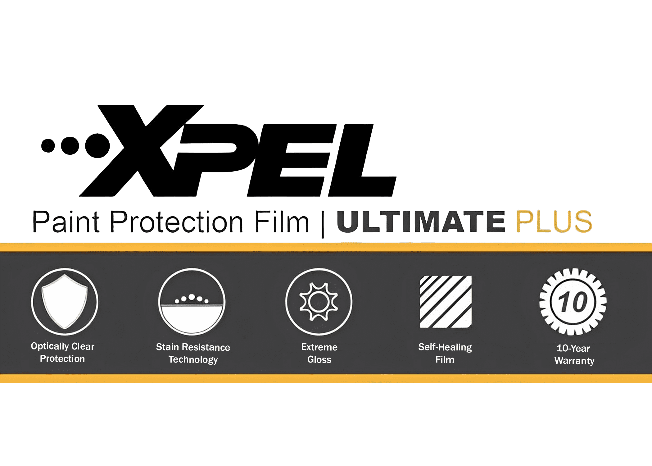 WHAT IS XPEL PAINT PROTECTION FILM? 